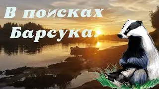 В поисках Барсука.
