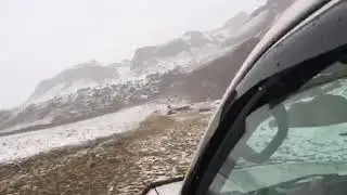 Недеген көп арқарлар .Бұл қайжак?