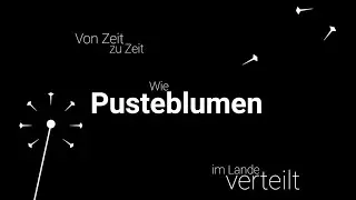 the main method - Pusteblume (Web Art Video)