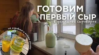 Homemade cheese at the Bergmann cheese factory. One step closer to owning a goat.