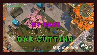 LDOE - LIVE Base Tour, Base Work