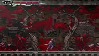 Castlevania Dawn of Sorrow Hack: Eternity of Sorrow Demo [1/8]
