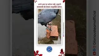 apne aap per Bharosa Or Jeet pakki hai #viral #shortsfeed #aakash_lab2_business_coach #motivation