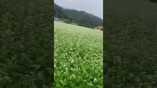 서석가는길 우리집앞