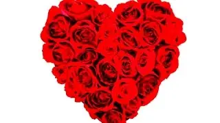 How do I wrap my heart up for Christmas? Eamon McCann