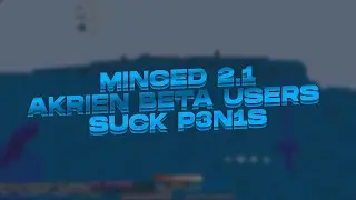 MINCED 2.1 | СЛИЛ АКРИЕН БЕТУ ЮЗЕРА | ПОРВАЛ ШТОРМХВХ НА КУСКИ