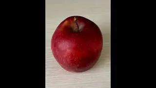 Обращение по поводу мусорки
