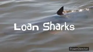 Garage Band: Loan Sharks
