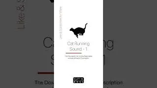 Cat Running Sound Effect 🐈 / Cat SFX / Running Cat 