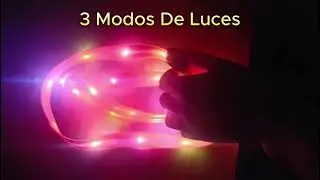 Correa + Collar Con Luces LED Impermeable