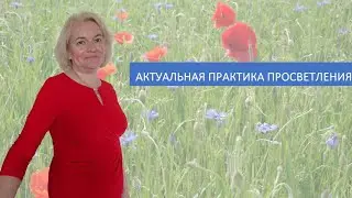 АКТУАЛЬНАЯ ПРАКТИКА ПРОСВЕТЛЕНИЯ