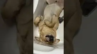 Дени уснул в ванной😴