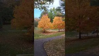 США осенью 🍂