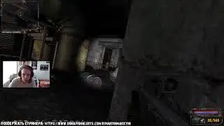 S.T.A.L.K.E.R. - История Прибоя, стрим пятый