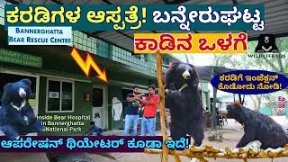 "ಬನ್ನೇರುಘಟ್ಟ ಕಾಡಿನ ಒಳಗೆ ಕರಡಿಗಳ ಆಸ್ಪತ್ರೆ! ಹೇಗಿದೆ ನೋಡಿ!-E08-Bannerghatta-WildLife SOS Bear Centre