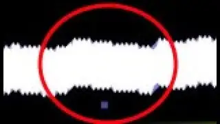 Retray but it's the weirdest "completion" of all time (botting + showcase)
