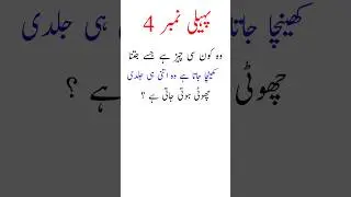 interesting urdu paheli | mazedar urdu paheli | riddles | paheliyan #paheliyan #riddles #quiz