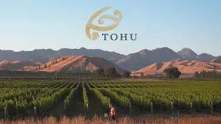Sharing the Awatere Valley with the World | Tohu Wines
