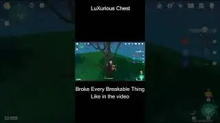 A luxurious chest you might have missed