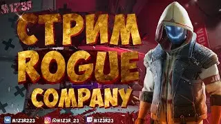 🔴Stream Rogue Company | Угораем и тащим | Ждём рейтинг | M1z3R