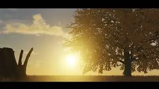 Blender grass & wind test 01
