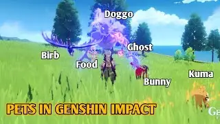 There are 6 Pets!? Yes, but.. | Genshin Impact