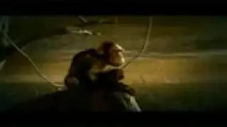 Onlara saygı duymak duyarlılık değil zorunluluktur / Kamu spotu