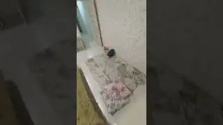 ну шо народ погнали #мем #рек #врек #мел #андертейл