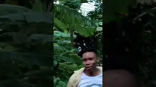 Breaking News protest
