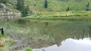 Know Your Place In Nature