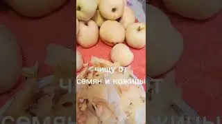 Черноплодка с яблоками. #сад #garden #дача #черноплодная рябина