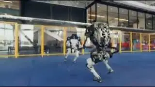 El futuro...