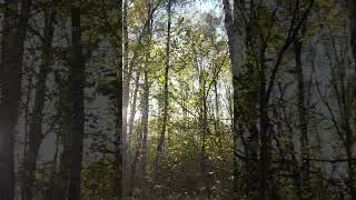 Прогулка по парку Правый берег Калуга #лайфстайл