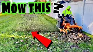Start to finish - Very overgrown yard (Leaf Cleanup & last mow)!! #lawncare #verysatisfying #stripes