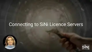 Understanding the SiNi Licence Server options