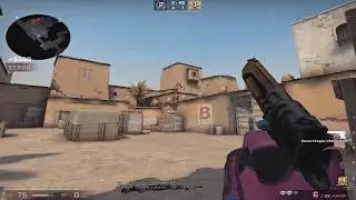 CSGO - HOLK STREAM HIGHLIGHTS #9