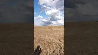 Красивые облака в весенний ветреный день на безымянном урочище.
