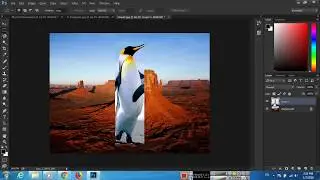 Rectangular Marquee Tool - Adobe Photoshop CC Tutorials