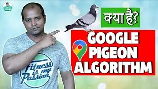 Google Pigeon | Pigeon Update | Pigeon Algorithm | Google Pigeon Update | Google Pigeon Algorithm
