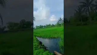 jalan jalan di ladang