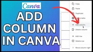 How to Add Columns in Canva 2024?