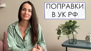 ПОПРАВКИ В УК РФ