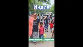 Что делать ,  места для прогулок нет ?
