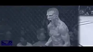 UFC | TJ Dillashaw   Vine