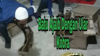 Sulap Dari Pakistan dengan Batu ajaib ular kobra takut