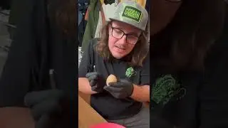 Can We Hatch an Egg WITHOUT Its Shell? 