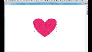 Embroidery Digitizing Fluid Contours