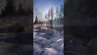 Mějte úžasný život 🟡 Rhonda Byrne