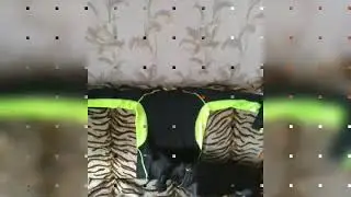 посылка из Китая для дяди Фёдора 2