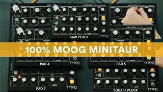 100% Moog Minitaur - Happy 2024!